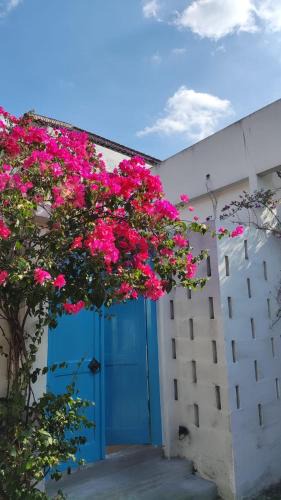 Tegalrejo Bed & Breakfast | Wayang BnB