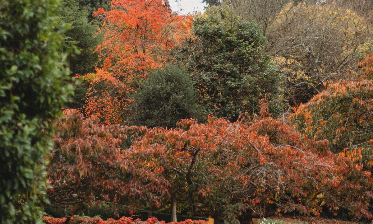 The Patch Cottage | Weardale Estate