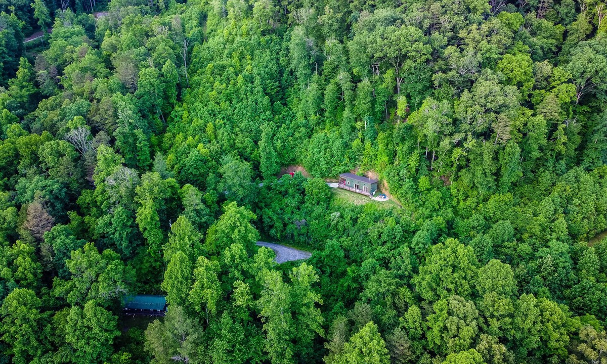 Whittier Cabin | Weekdays discounted. Private & dog friendly with a view! Near Casino, WCU