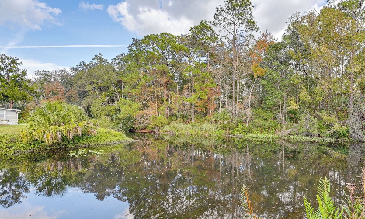 Weeki Wachee Gardens House | Weeki Wachee Family Getaway: Canal-Front Home
