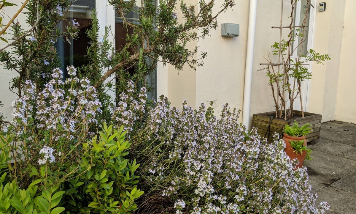 Barnstaple House | Weirholme Annex