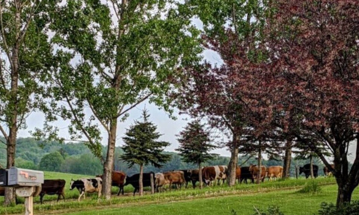 Laurens Apartment | Welcome to The Bull-Pen