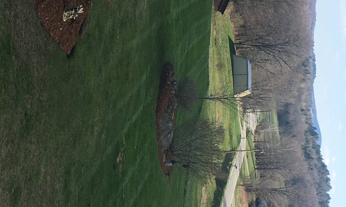 Irasburg Apartment | Welcome to the Tree House!