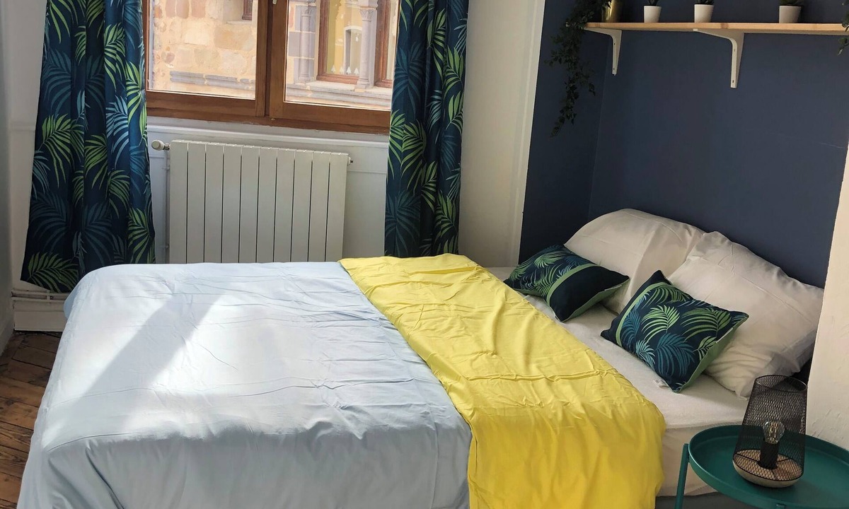 Brioude Apartment | Welcome to this large, elegant apartment.