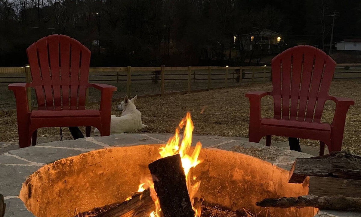 Ellijay Cottage | WeLoveALLDogs/FullyFencedYards/Firepit/Views/2King