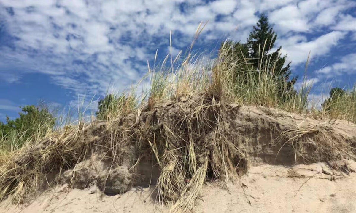 Wymbolwood Beach Cottage | Wendake BeachHouse