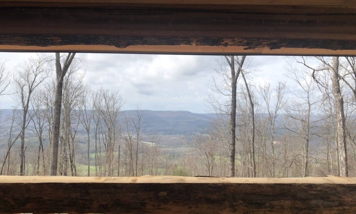 Trenton Cabin | Wendell Tree Top View