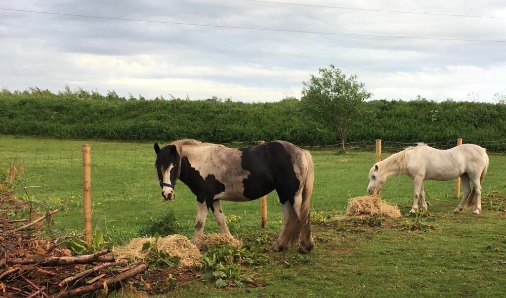 Churchtown House | West Barn Manor