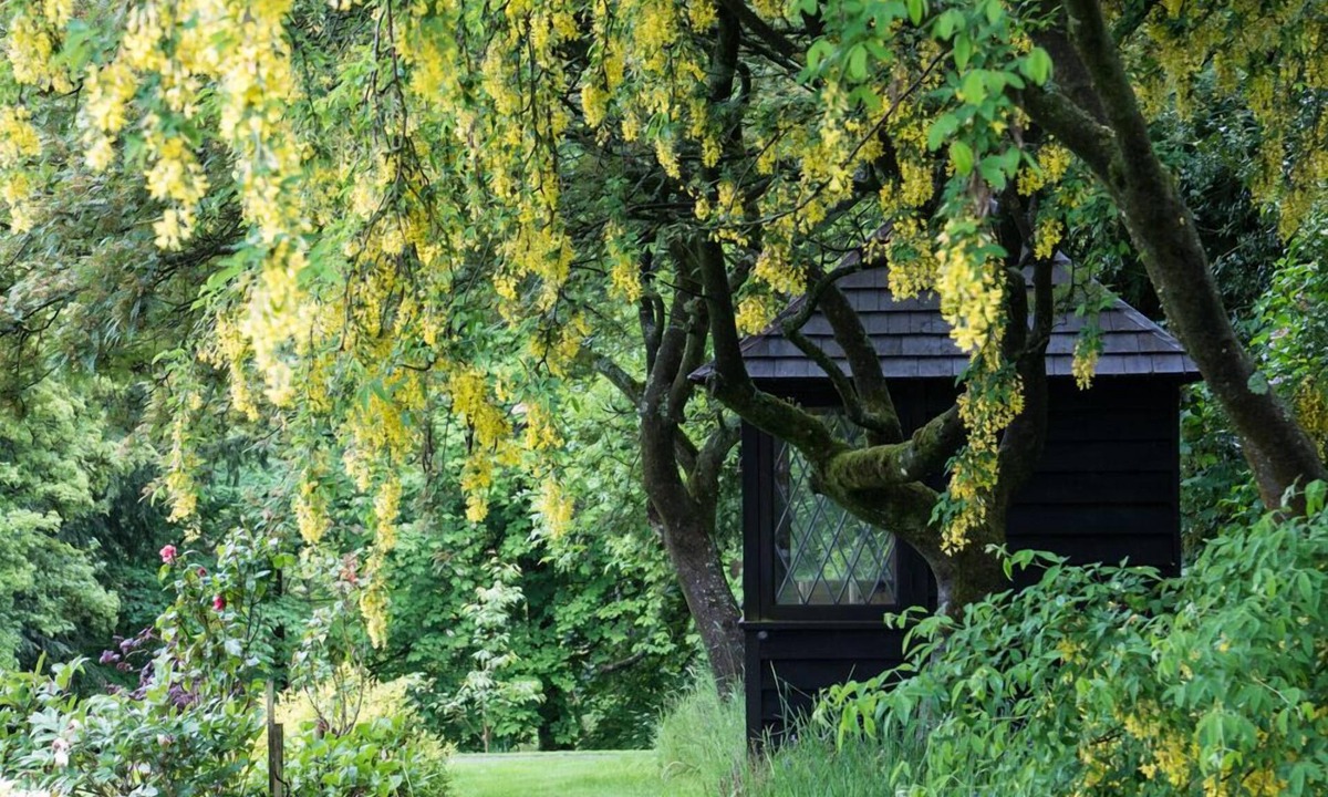 Stirling Bed & Breakfast | West Plean House