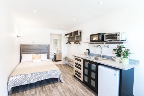 Mobile Apartment | Whale House Guest House