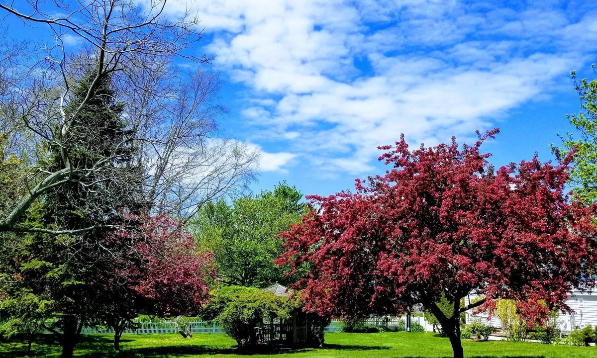 Eastham Bed & Breakfast | Whalewalk Inn and Spa