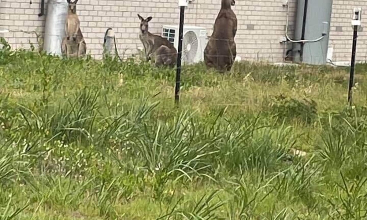 Paradise Beach House | Wheeler’s Paradise