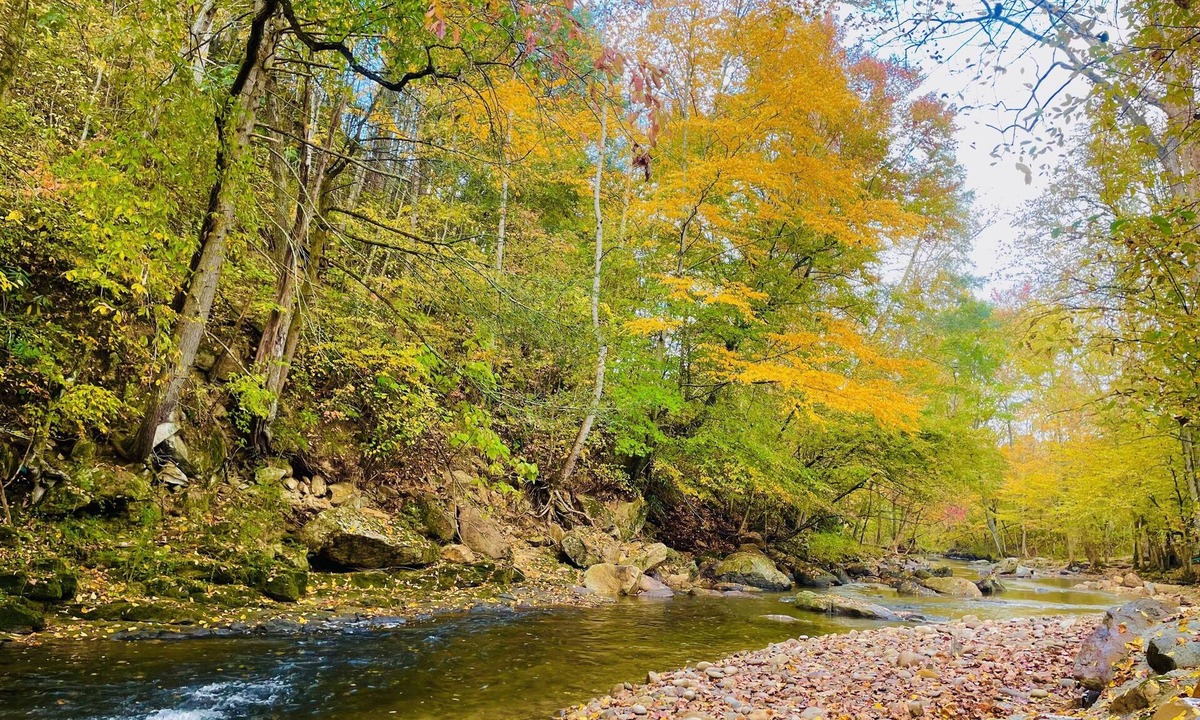Cosby Cabin | Whispering Creek by RedAwning