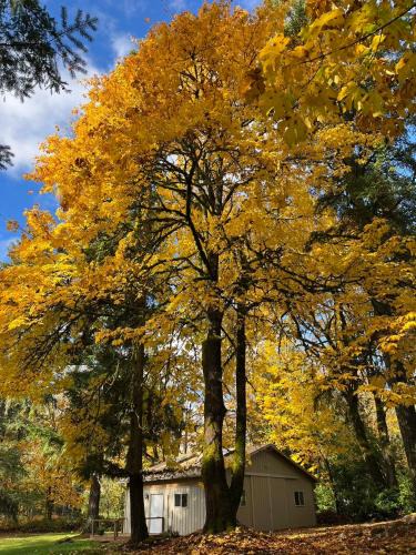 Union Hill-Novelty Hill Ski Chalet | Whispering Pines Farmhouse