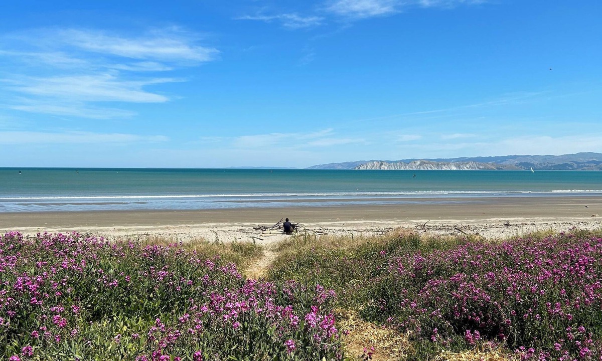 Gisborne Apartment | Whispering Sands Motel