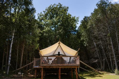 Grafton Hotel | Whispering Springs Wilderness Retreat