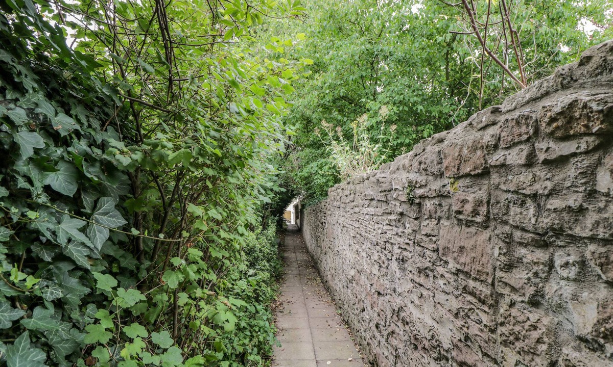Whitchurch Cottage | White Roses