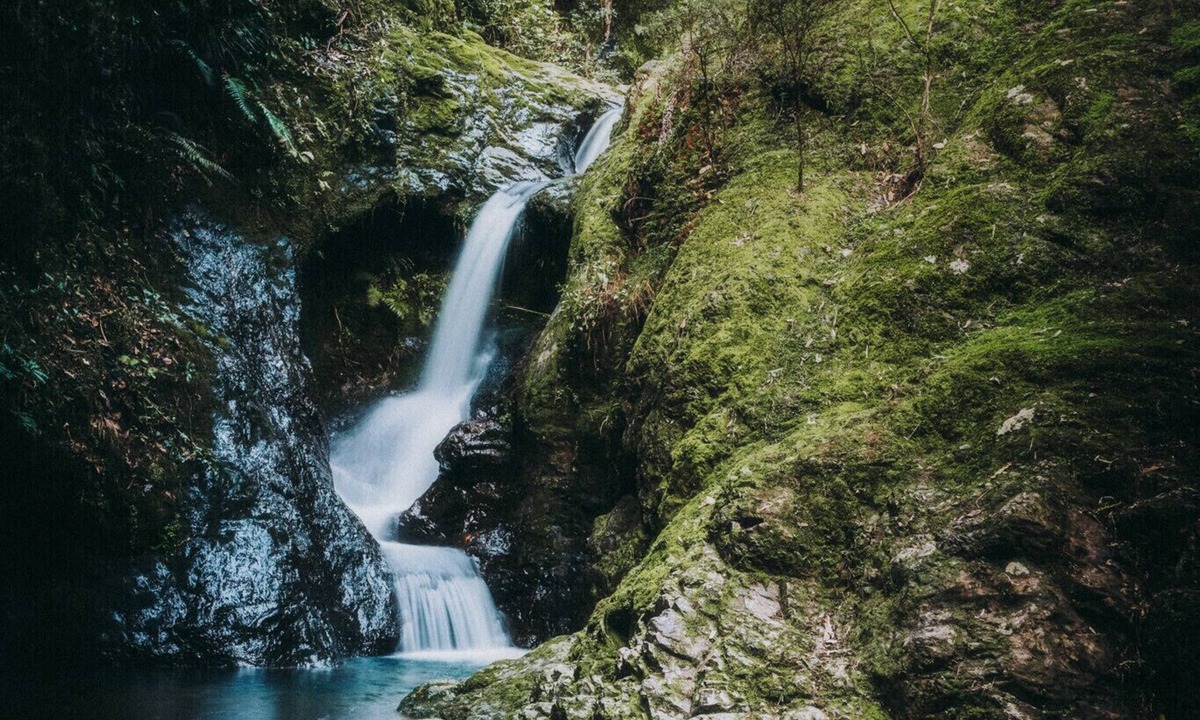 Colville House | Whitestar Station Caravan With adjoined Annex