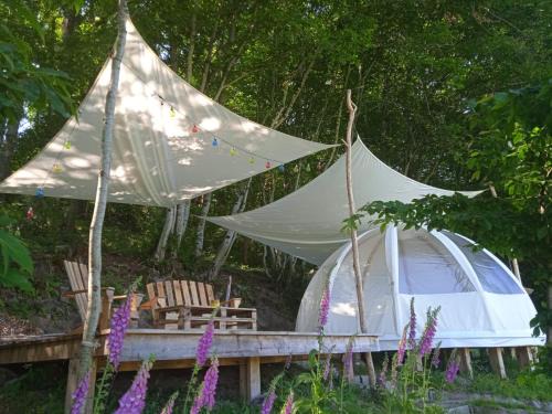 Mesvres Other | Wig Wam Morvan