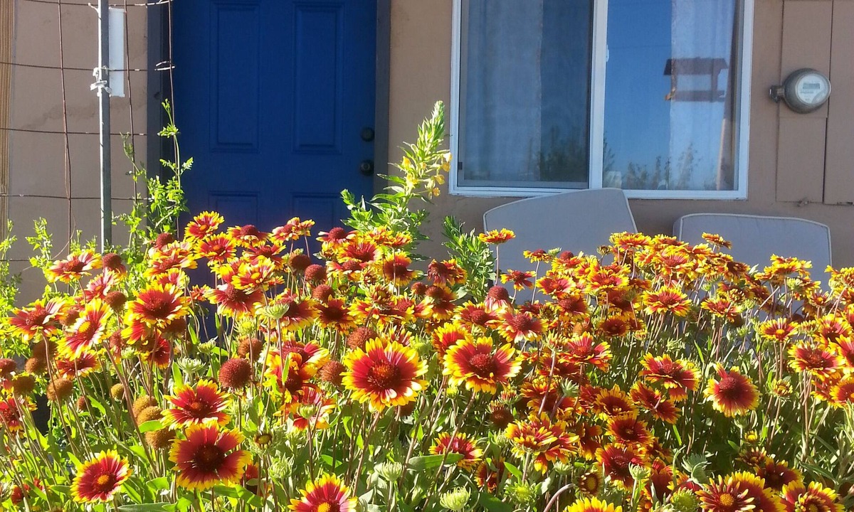 Dyer Apartment | Wild Creek BnB, " Cottage "