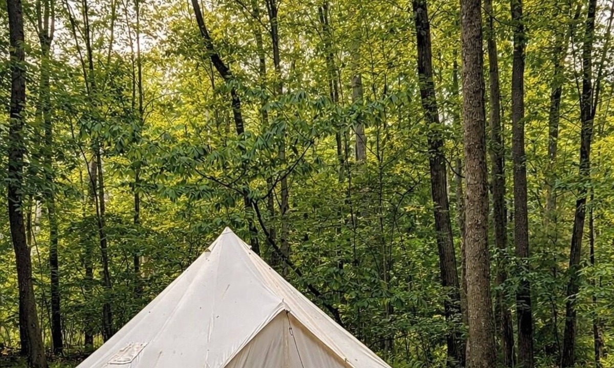 Leeper House | Wild Garden Glamping: Creekside