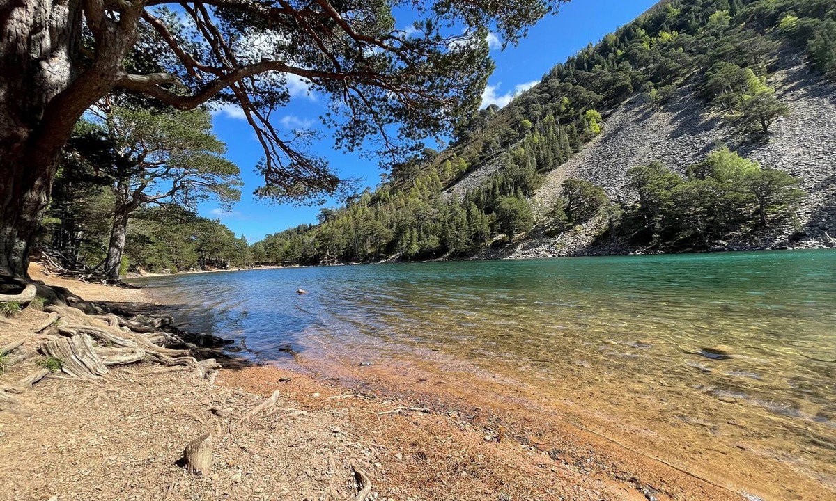 Alvie Cottage | Wildcat Lodge