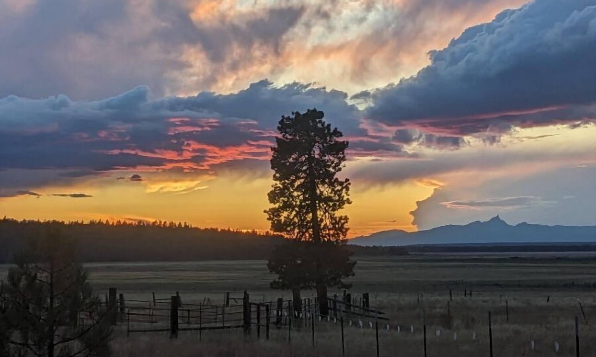 Klamath County House | Williamson River Ranch Fishing Eclipse Exclusive Views Book Reading