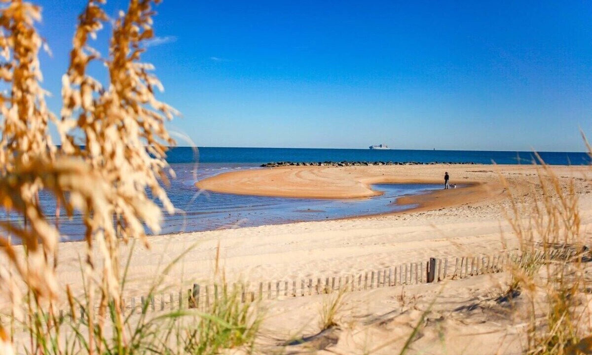 Willoughby Spit Apartment | Willoughby Spit Sojourn | Beach Side | 2 BR