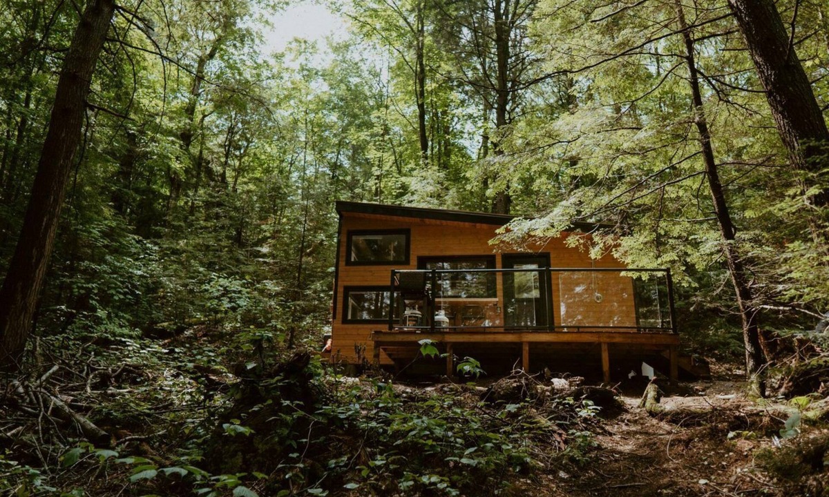 Dysart et al Cabin | Willow Cabin | Magnificent Remote Waterfront Cabin