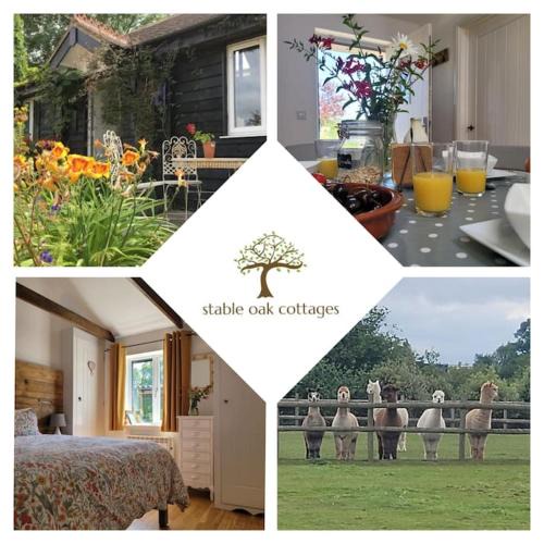 Harrietsham House | Willow Cottage in idyllic location