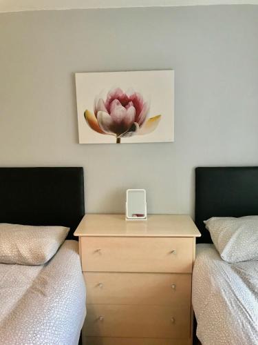 Dadlington House | Willow