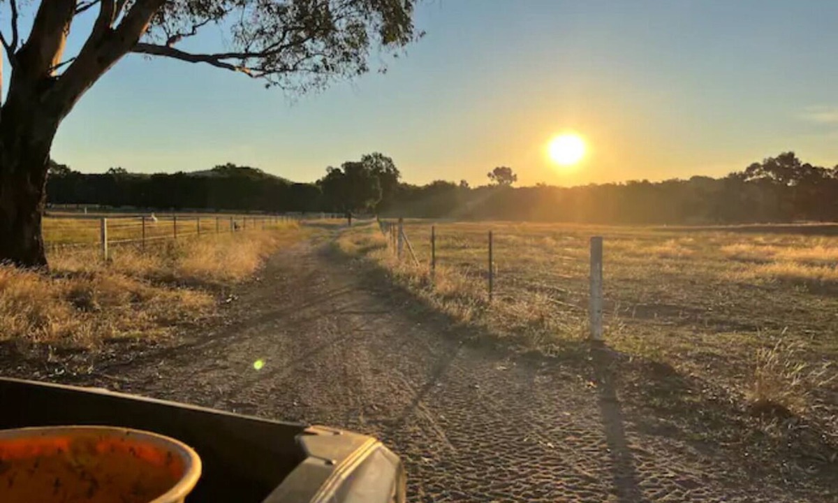 Chiltern Cabin | Willuna Sanctuary Farm Stay