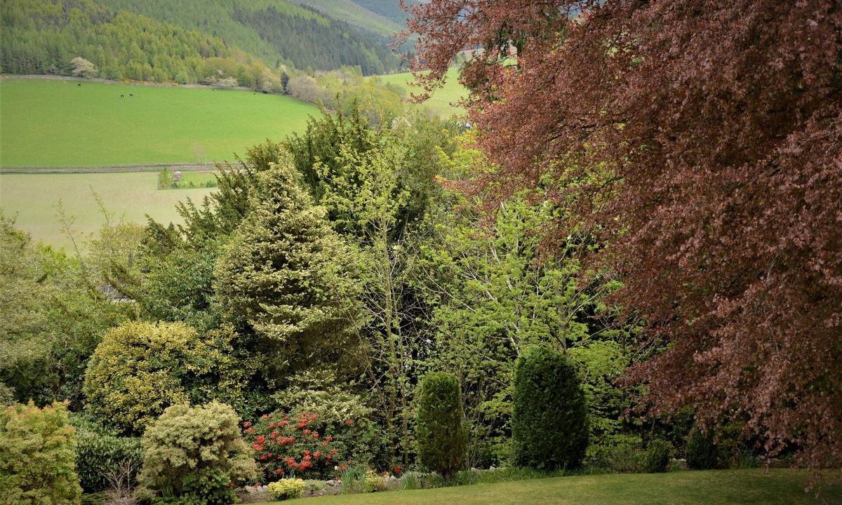 Walkerburn House | Windlestraw