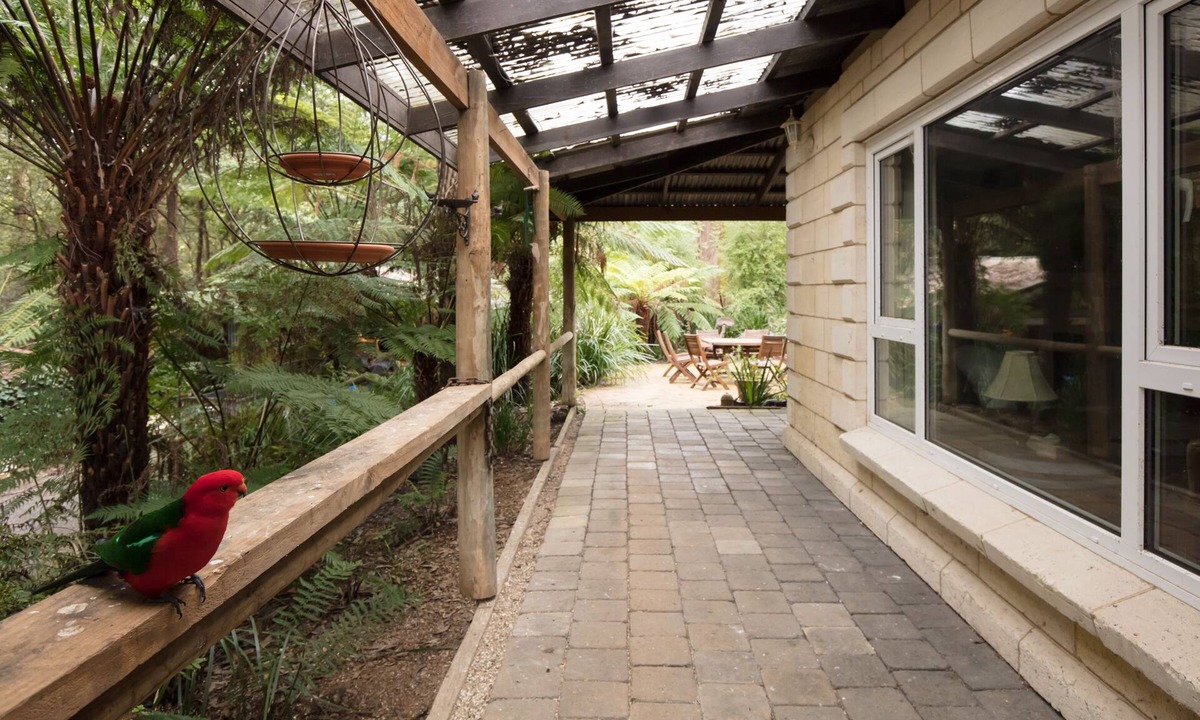 Mount Dandenong House | Windmill lodge: Private rainforest with river