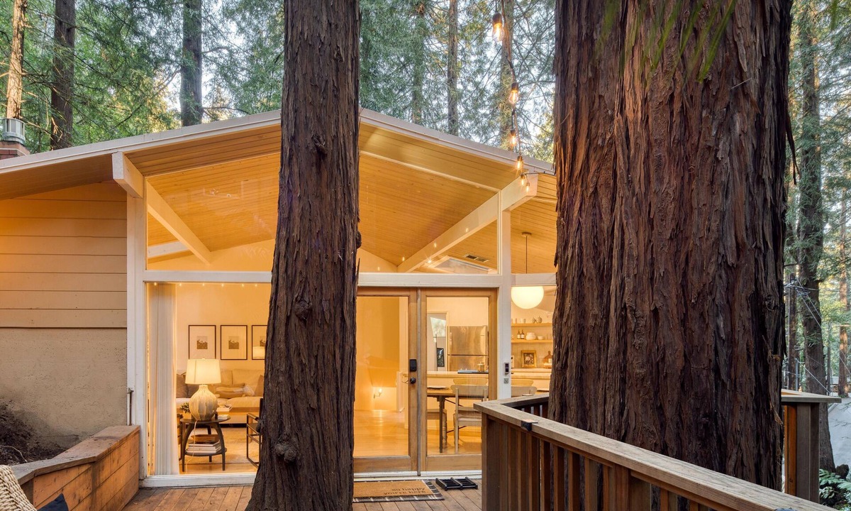 Mill Valley House | Window to the Redwoods