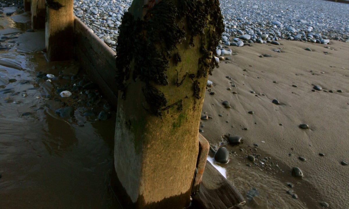 Borth House | Windsor House, Borth