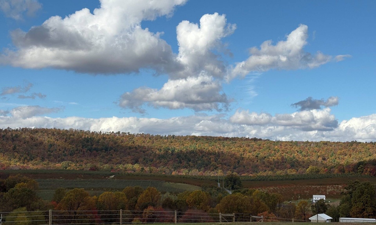 Aspers Cottage | Windy Ridge Farm Guest Cottage
