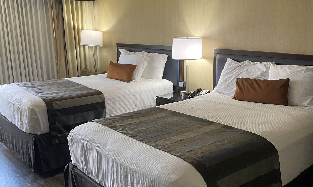 Springfield Hotel | Wingate by Wyndham Springfield
