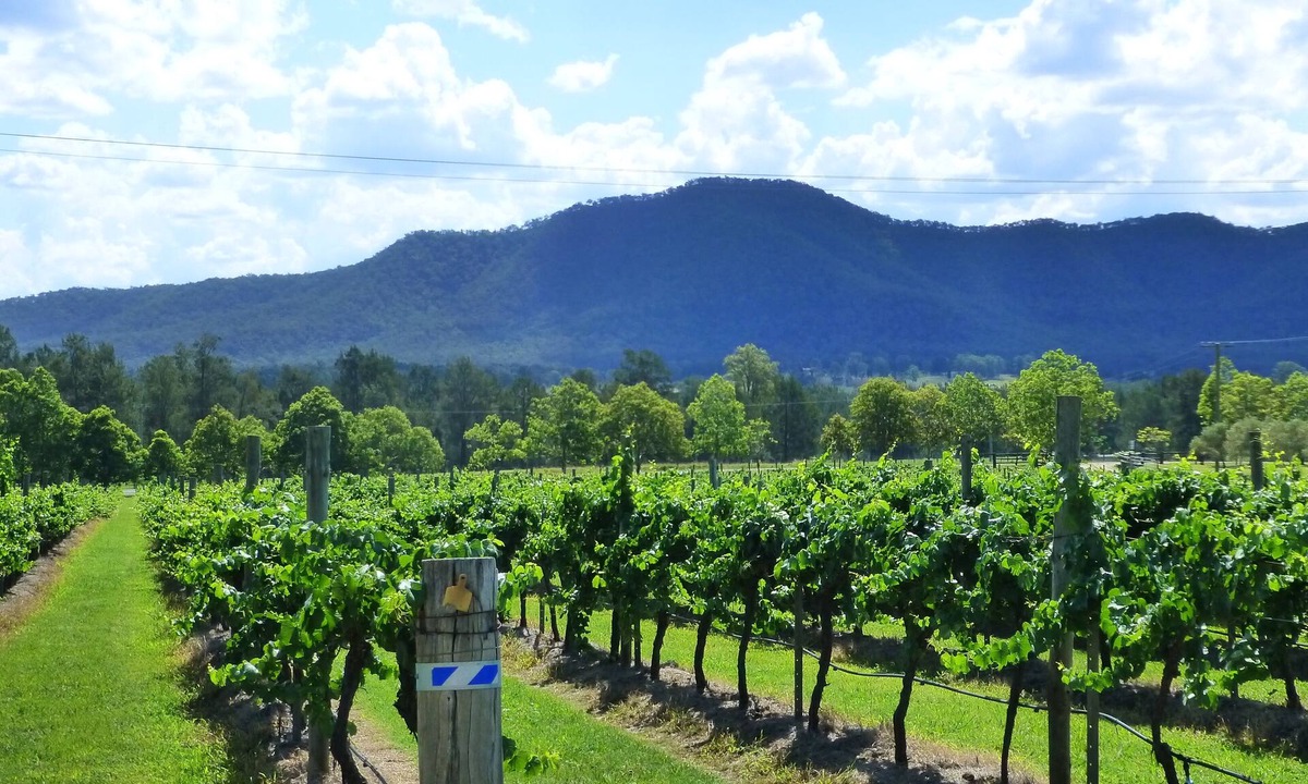 Broke House | Winmark Wines | Winmark Residence