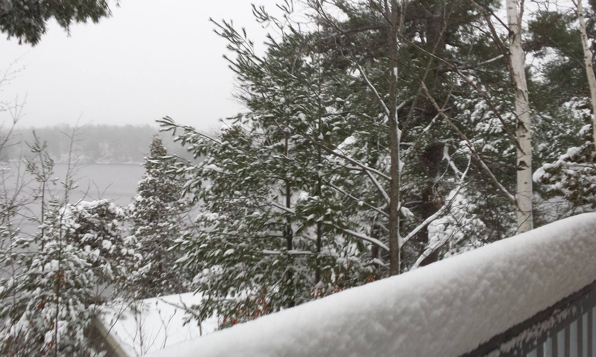 Tay Valley Cottage | Winter Wonderland! - Owl Point at Pike Lake