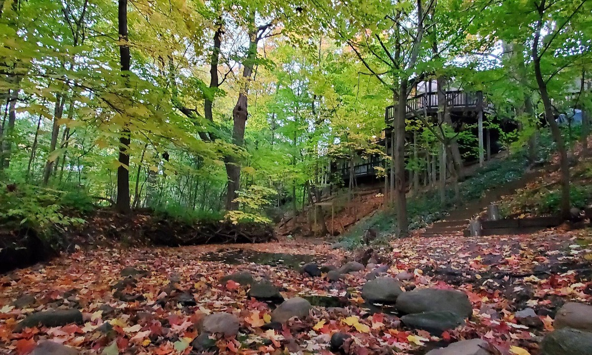 Racine Apartment | Wisconsin Treehouse Getaway!