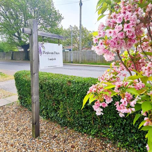 Cranfield Bed & Breakfast | Wisteria Haze