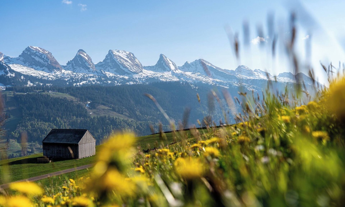 Wildhaus Apartment | Wonderful, spacious vacation apartment with separate wellness area.