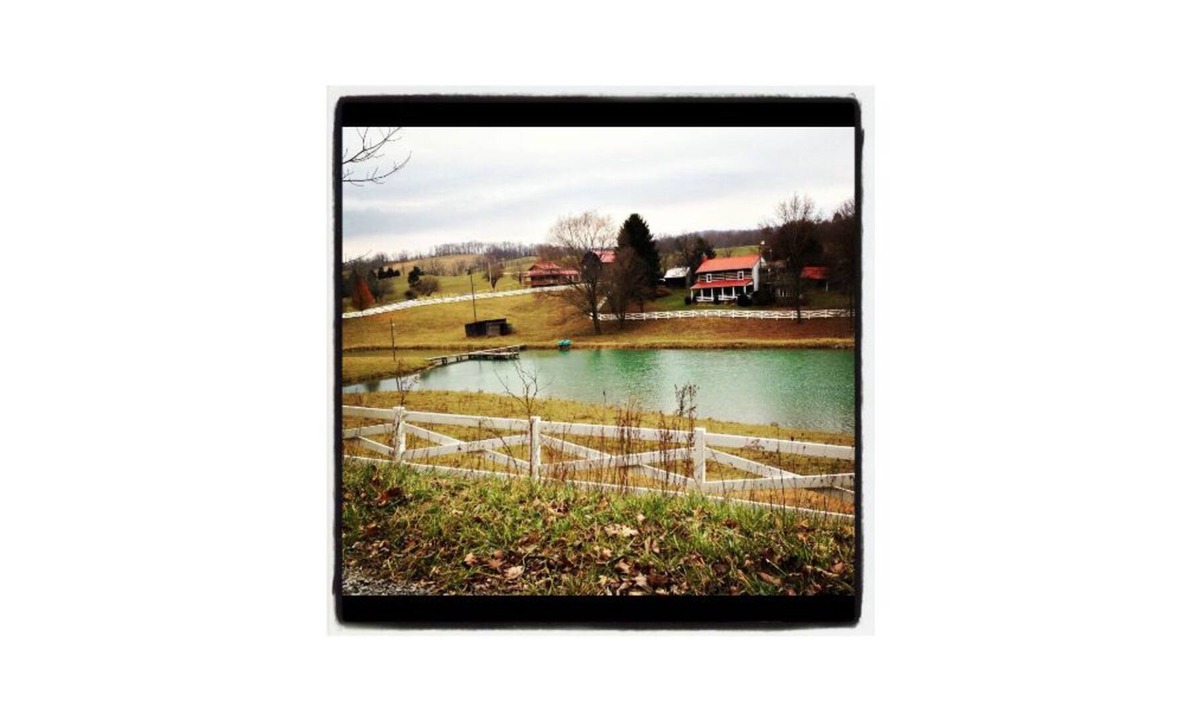 Wytheville Cabin | Wonderful Log Cabin with plenty of privacy, yet only minutes from Wytheville!