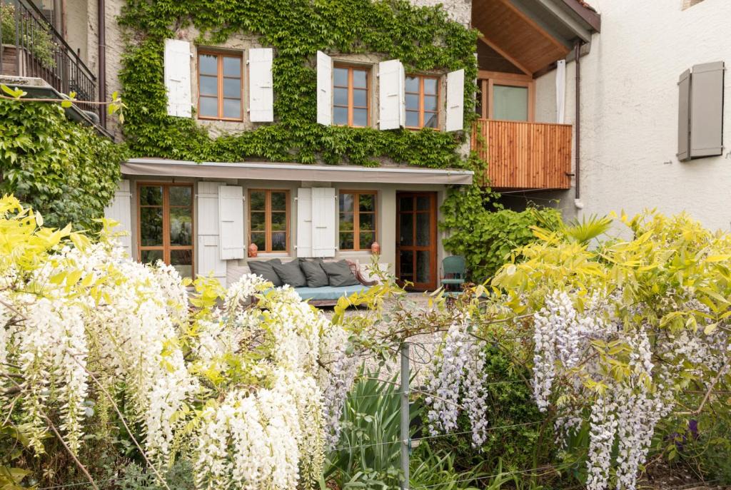 Le Grand-Saconnex Bed & Breakfast | Wonderlandscape Guest House