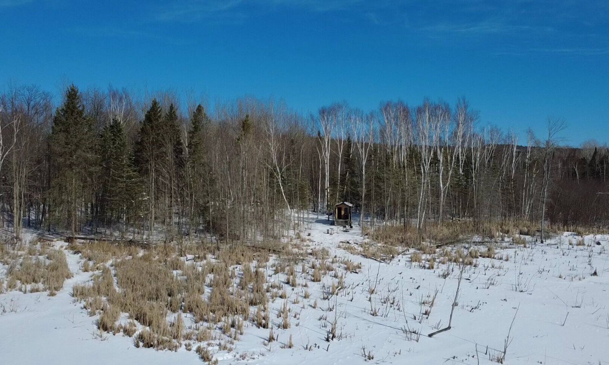 Golden Lake Cabin | Wood Duck Cabin, No Neighbours, Drive too, Pet Friendly