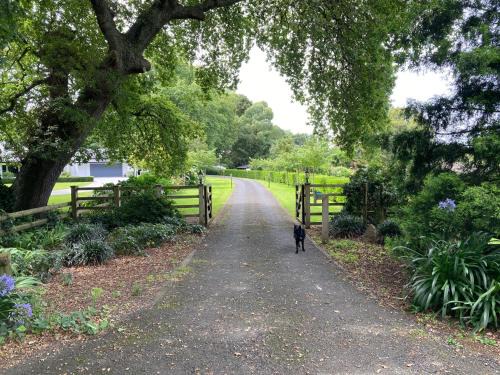 Karapiro Bed & Breakfast | Woodhey Retreat Unit 1