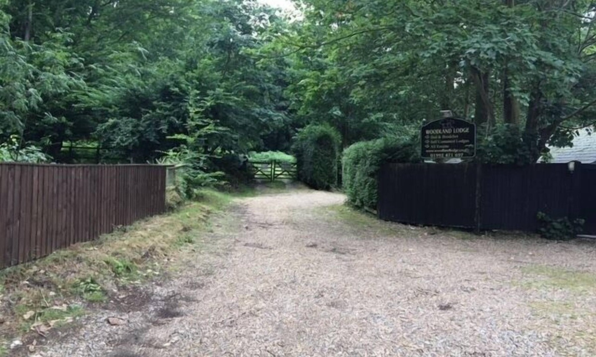 Hoddesdon Cabin | Woodland Lodge