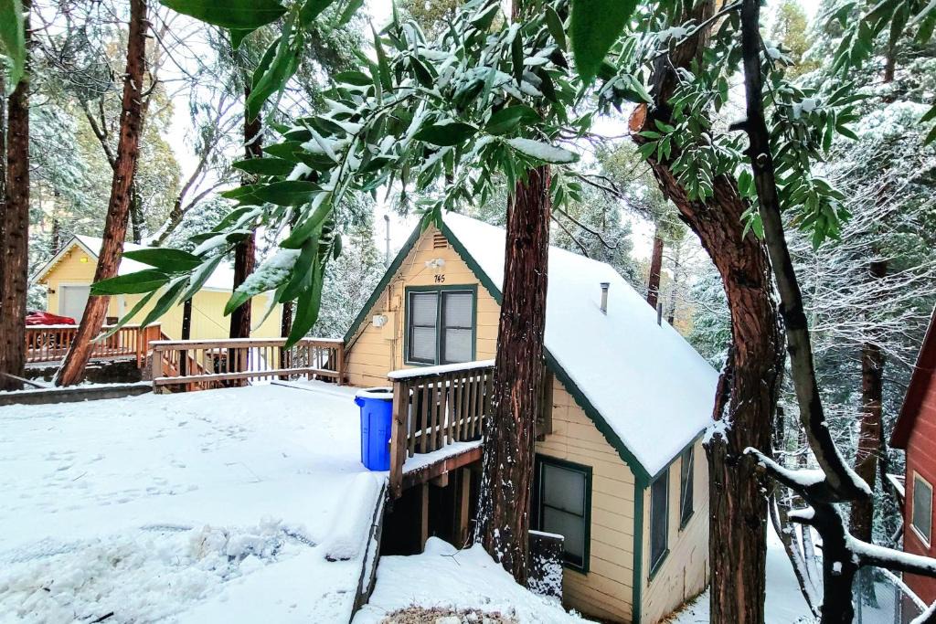 Crestline House | Woodland Wonder