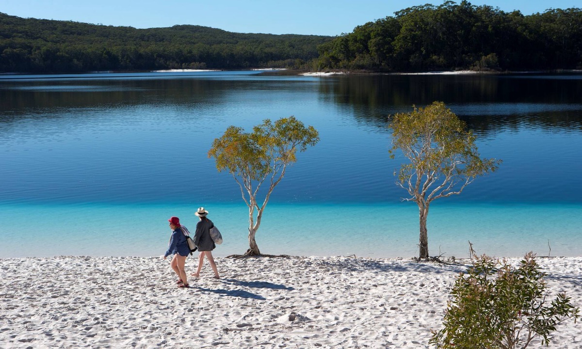 Scarness Cabin | Woolshed Eco Lodge